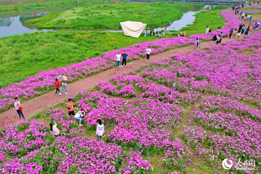 厦门市“千年银城四海同安”主题IP全球设计征集活动启动(图4)