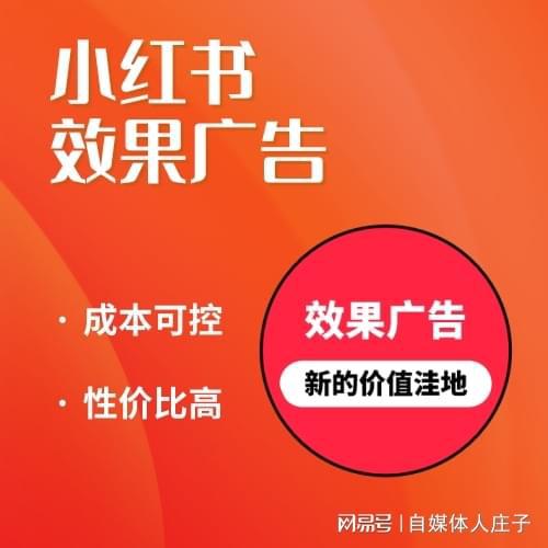 教育行业在小红书上投广告会有效果吗？(图1)
