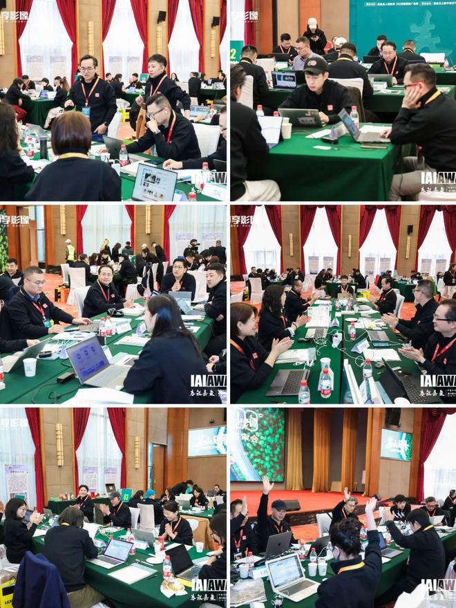 第24届IAI传鉴国际广告奖与垂直奖终审会在嘉鱼成功举办！(图12)