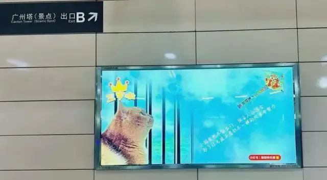 允许个人投放广告广州地铁秒变“整活现场”(图6)