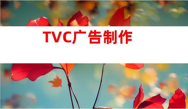 专注拍摄服务苏州精彩企业宣传片和TVC广告制作！(图1)