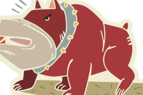 东丘山文化动画设计可信么职场小白能学么(图1)