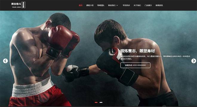 如果你对网站设计感兴趣在2024不能错过的18个商城网站主题模板!(图13)