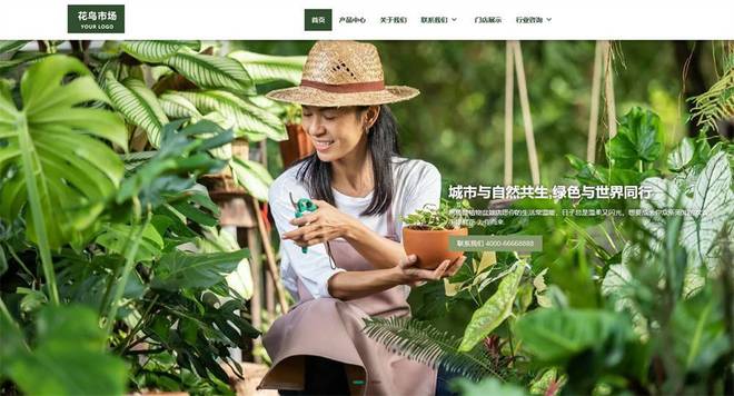 如果你对网站设计感兴趣在2024不能错过的18个商城网站主题模板!(图18)
