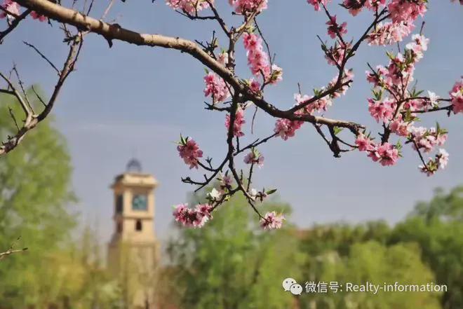 鲁能格拉斯小镇(格拉斯小镇)售楼处-网站最新发布-2024新首页(图13)