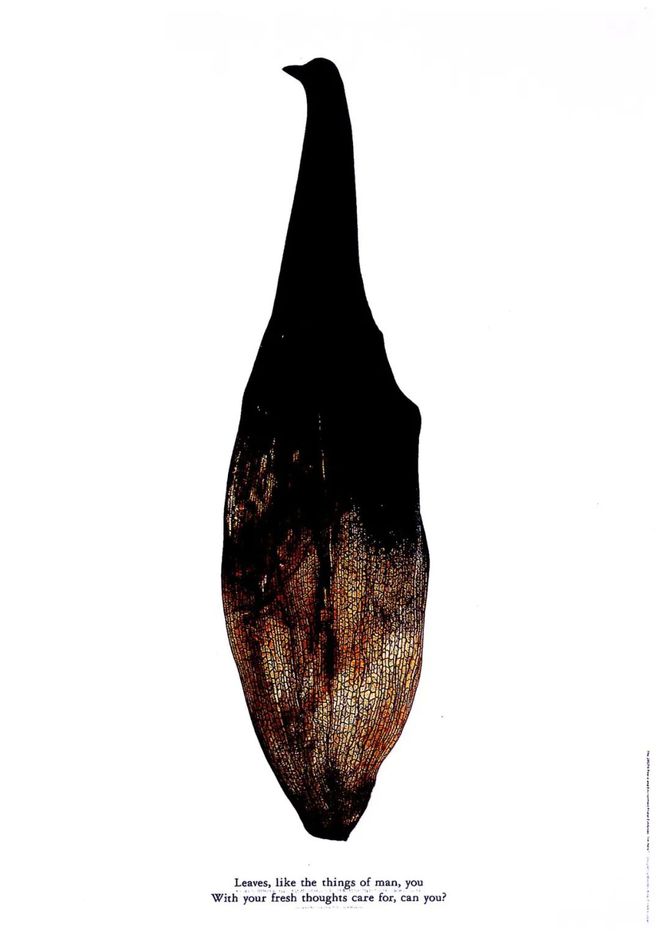 青叶益辉作品展经典作品欣赏(图3)