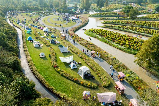 沪上最大地肤花海惊艳上线月下旬(图3)