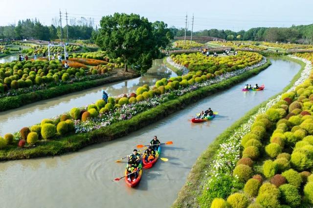 绝美！错过要再等一年！本月迎来最佳观赏期→(图3)