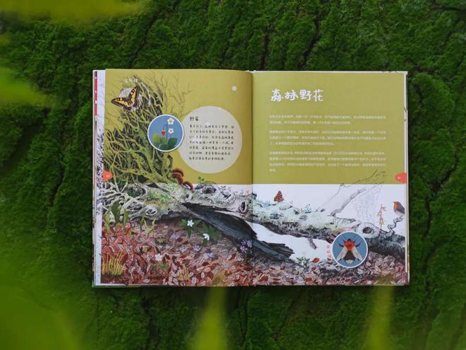 植物的“鲸落”生命的赞歌(图1)