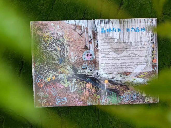 植物的“鲸落”生命的赞歌(图2)