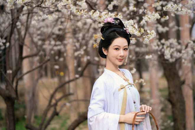 杨紫《国色芳华》开播大爆首日广告多达12个古装王炸实至名归(图3)