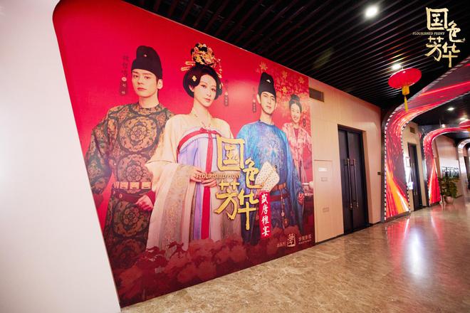 杨紫《国色芳华》开播大爆首日广告多达12个古装王炸实至名归(图4)