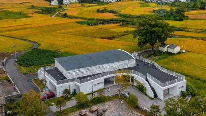 杭州橄榄树｜橄榄树少年多元寒假纪实：4a公司实习科研历史调研(图15)
