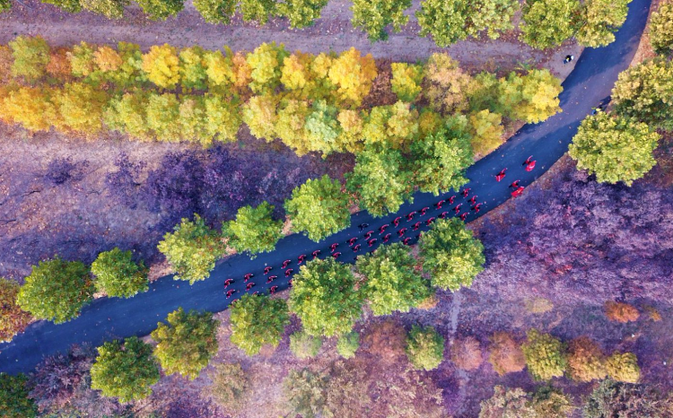 来菏泽吃喝玩乐都在这!_今日头条_大众网(图9)