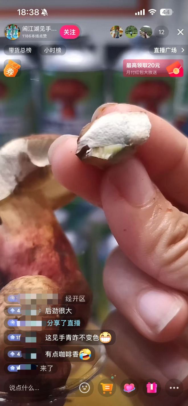 10万瓶一周抢售一空!云南“见手青啤酒”卖疯背后代工厂竟欠债400万?(图2)