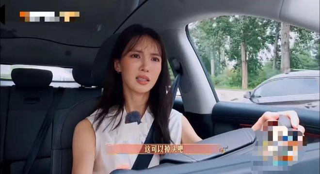 董璇晕车名场面拿下新能源最佳广告位(图24)