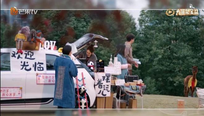 董璇晕车名场面拿下新能源最佳广告位(图18)