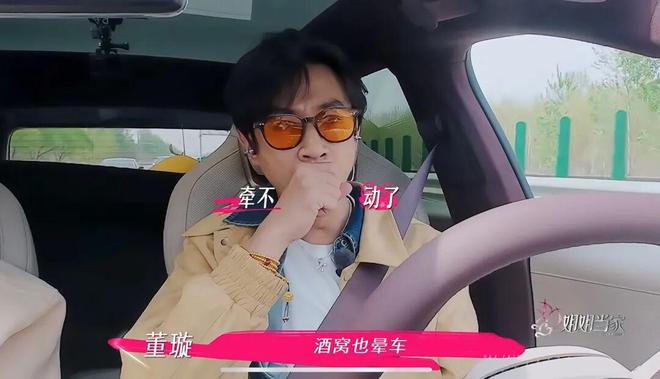 董璇晕车名场面拿下新能源最佳广告位(图6)
