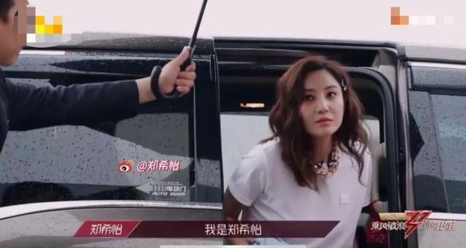 董璇晕车名场面拿下新能源最佳广告位(图1)