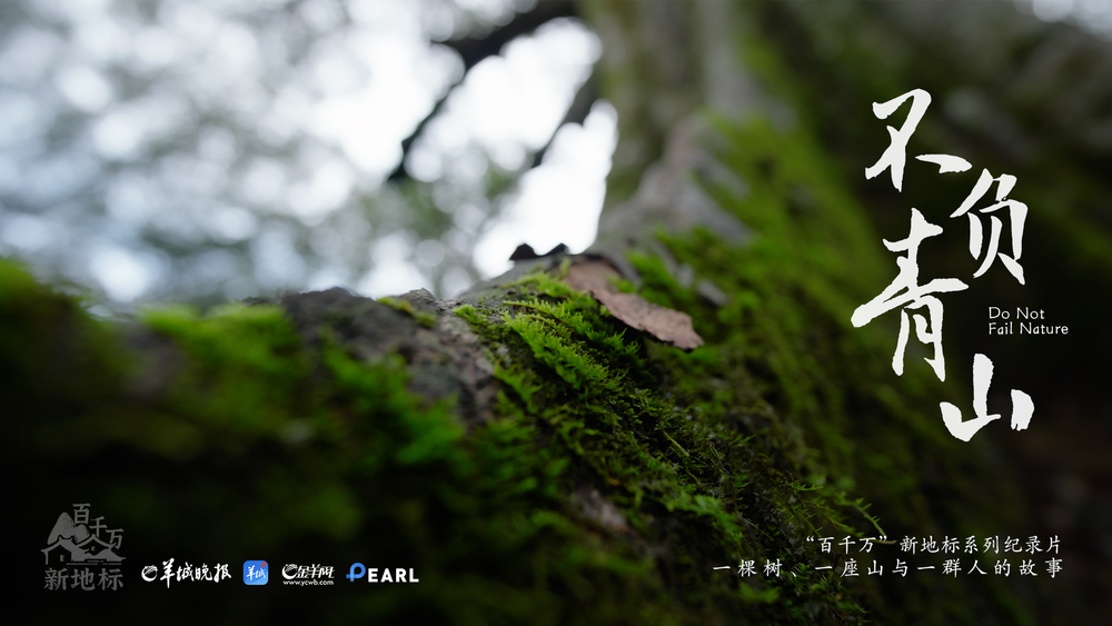 “‘百千万’新地标”系列纪录片《不负青山》｜在广东的山里看见一片“海”(图1)