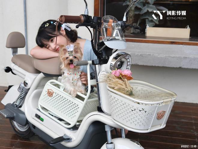 2025年TOP5高品质企业宣传片制作推荐：赋能品牌新高度(图2)