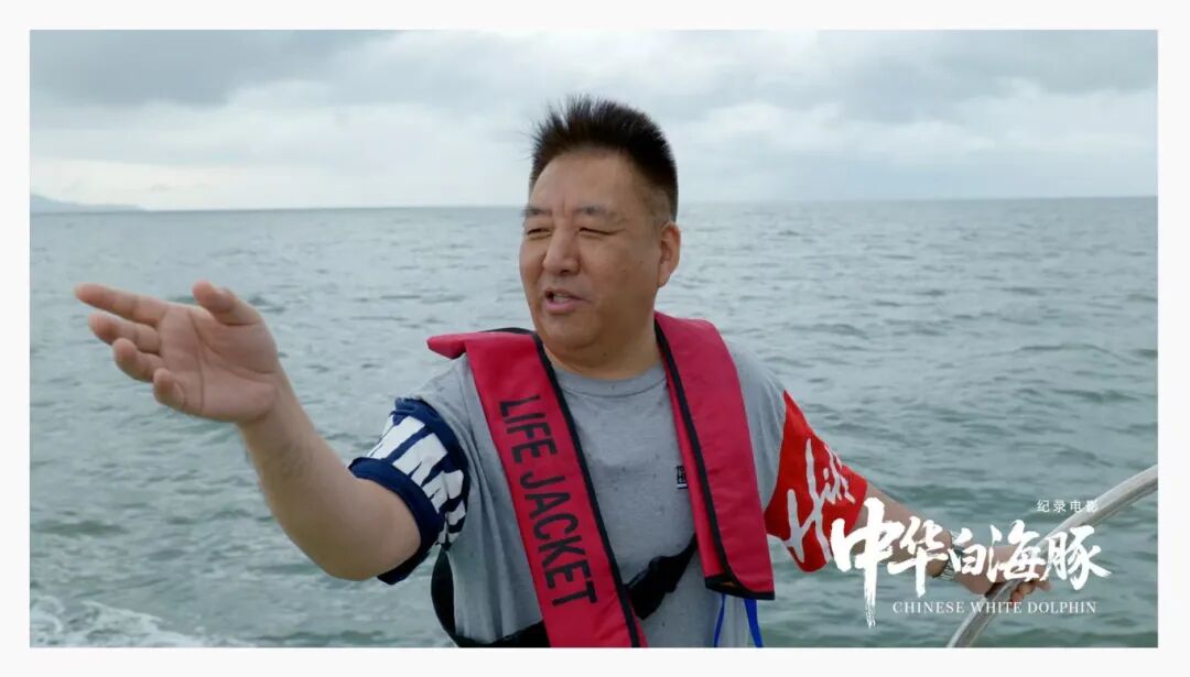 与粤港澳“海洋精灵”相遇《中华白海豚》12月12日上映不止于海的生命叙事(图3)