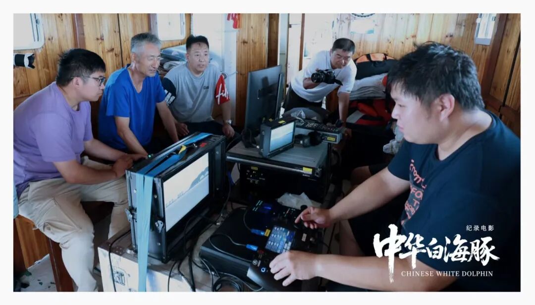 与粤港澳“海洋精灵”相遇《中华白海豚》12月12日上映不止于海的生命叙事(图5)