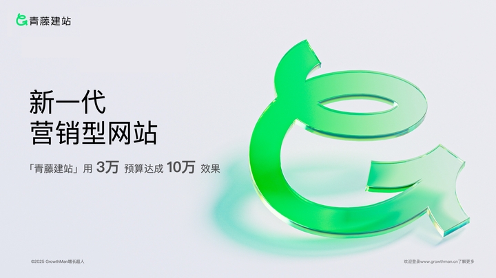 2026年网站搭建公司分级评估：头部机构服务标准与实践案例解析(图2)