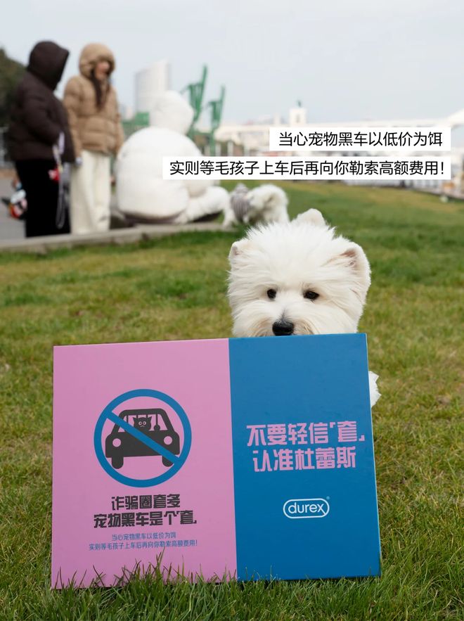 杜蕾斯“史上最污”反诈广告文案鬼才又回来了！(图8)